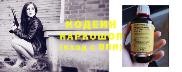 стафф Вяземский