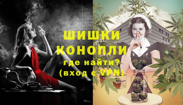 стафф Вяземский
