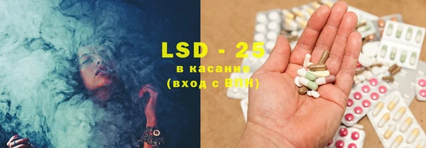 стафф Вяземский