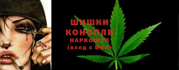 хмурый Вязьма